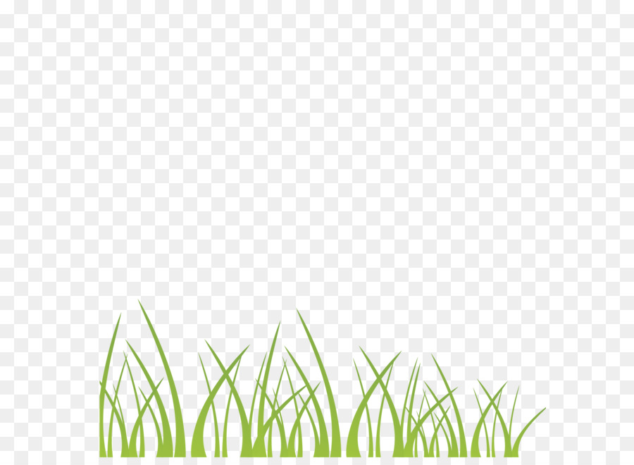 Vector green grass decoration illustration background png download - 1500*1500 - Free Transparent Green png Download.