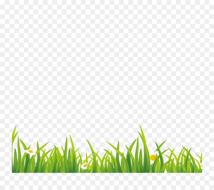 Green Gratis Euclidean vector Grass - grass png download - 800*800 - Free Transparent Green png Download.