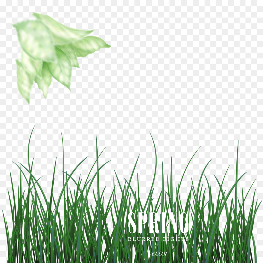 Green Euclidean vector - Spring on the new dream grass background vector png download - 3125*3125 - Free Transparent Green png Download.