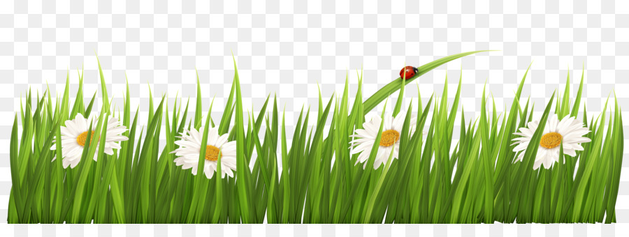 Flower Grasses Clip art - Flower Cliparts Transparent png download - 6917*2467 - Free Transparent Flower png Download.
