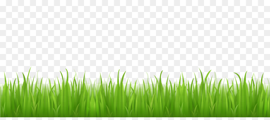Lawn Desktop Wallpaper Clip art - grass png download - 1667*724 - Free Transparent Lawn png Download.