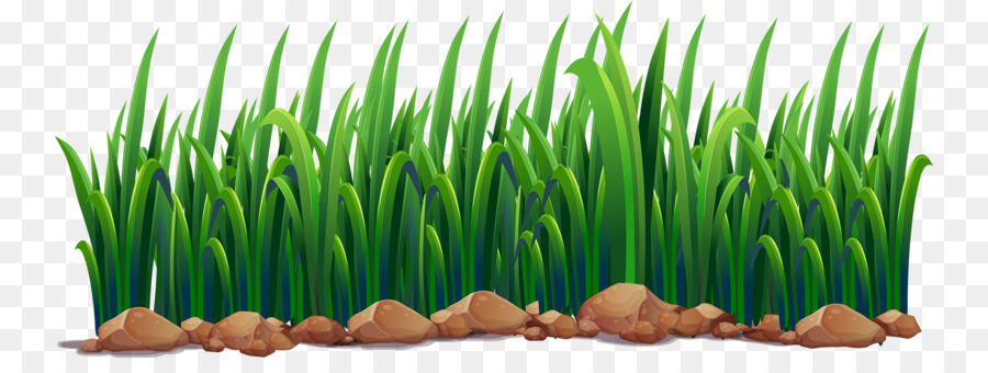 Pond Ecosystem Illustration - Green grass png download - 800*326 - Free Transparent Pond png Download.