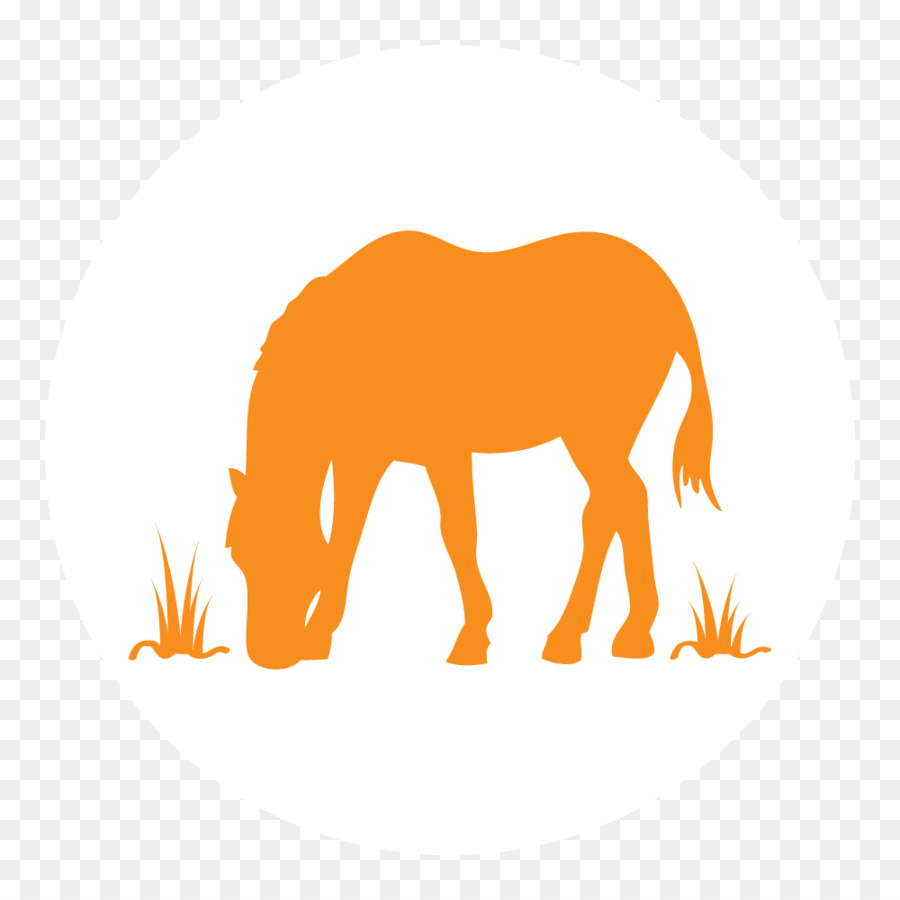 Mustang Noble Street College Prep Mane Pony Noble Network of Charter Schools - Horse Farm png download - 1000*1000 - Free Transparent Mustang png Download.