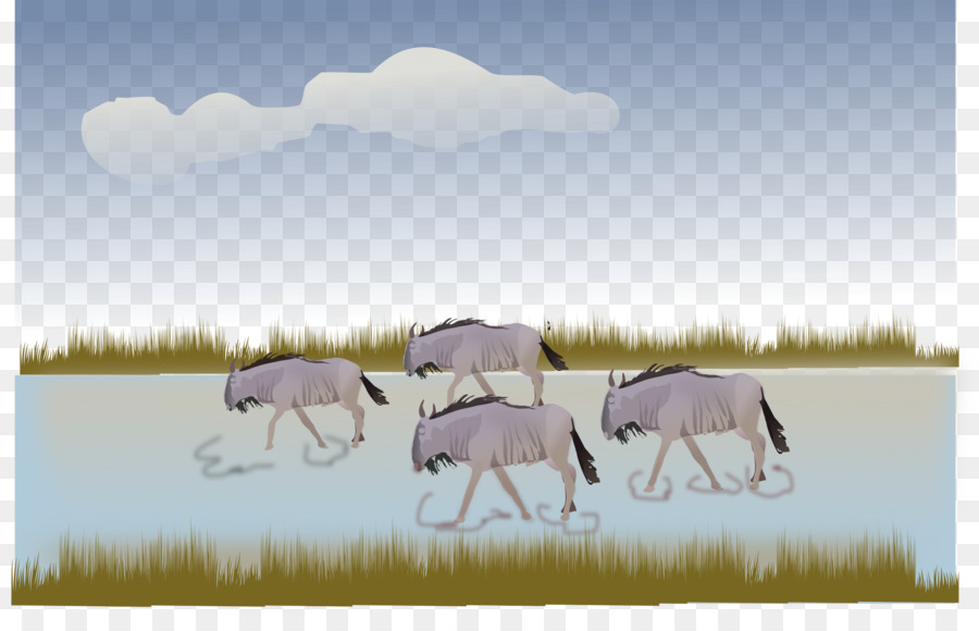 Wildebeest Clip art Horse Illustration Vector graphics - horse png download - 2400*1512 - Free Transparent Wildebeest png Download.