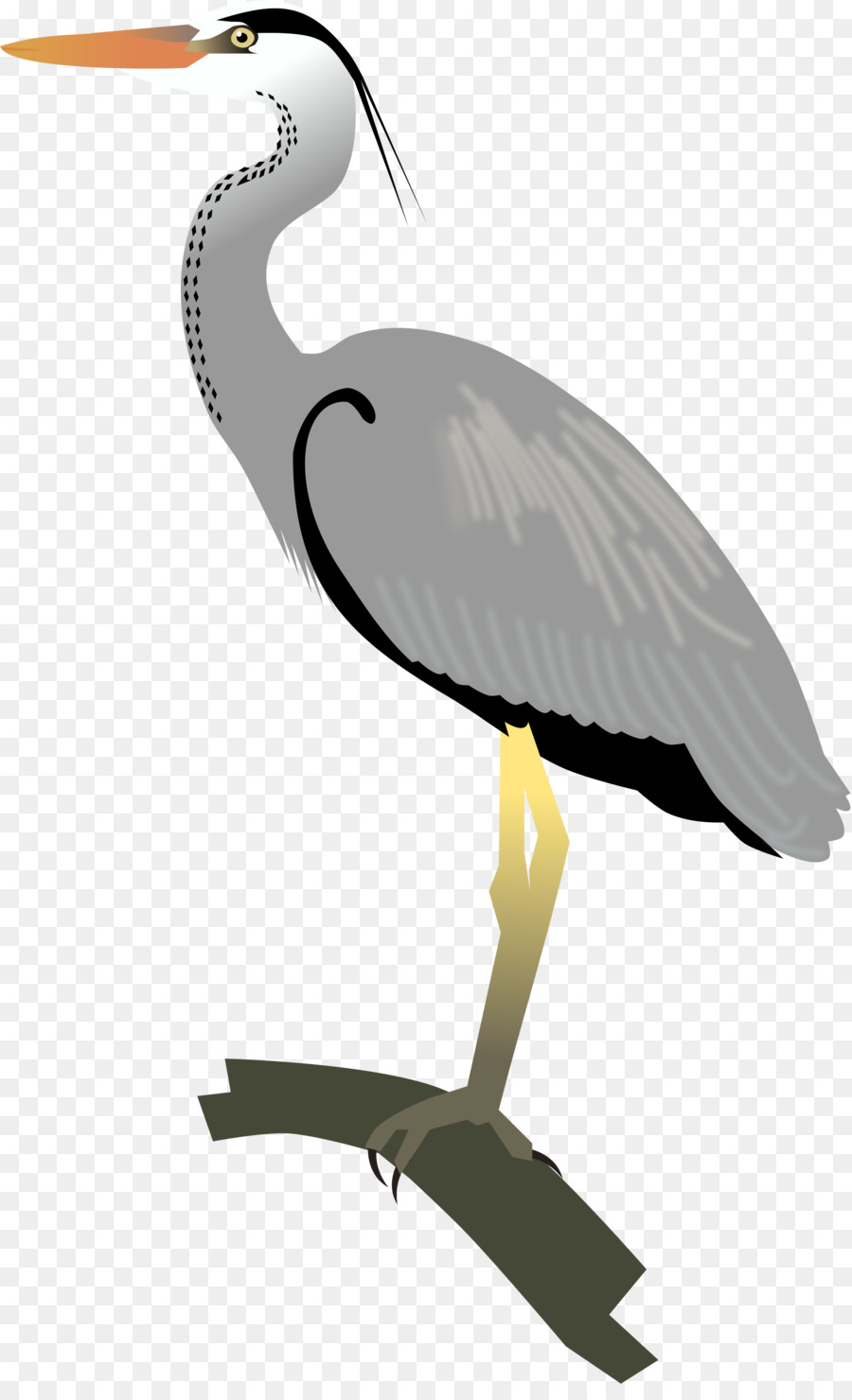 Egret Great blue heron Crane Bird - crane png download - 2000*3250 - Free Transparent Egret png Download.