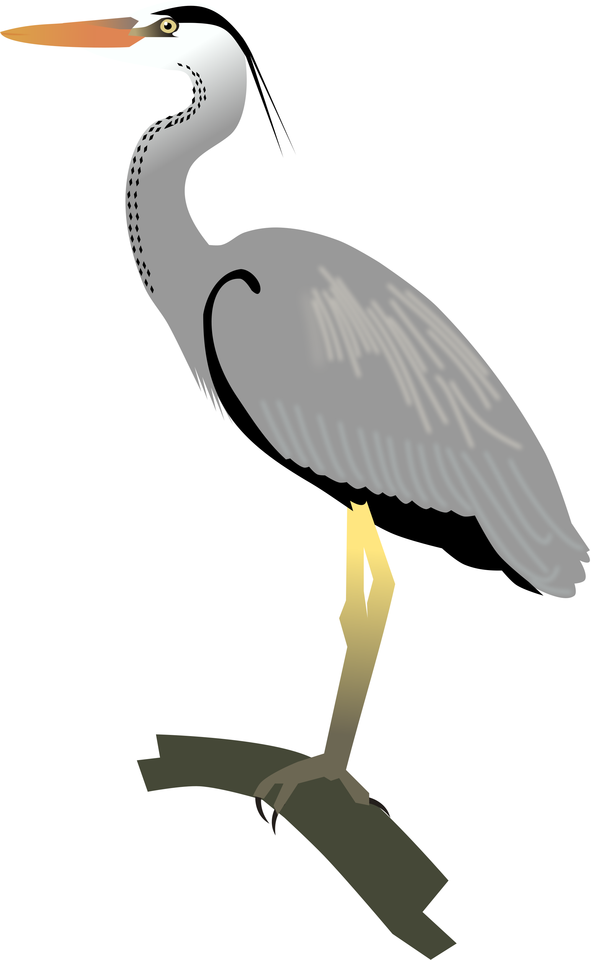 Egret Great blue heron Crane Bird - crane png download - 2000*3250 ...