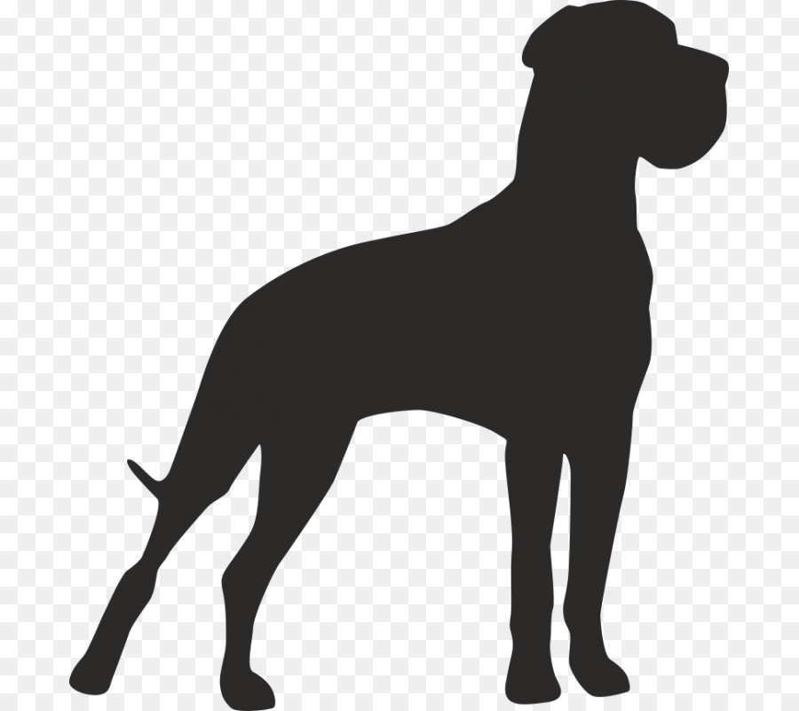 Great Dane Dog breed Akita Pet sitting American Staffordshire Terrier - puppy png download - 800*800 - Free Transparent Great Dane png Download.
