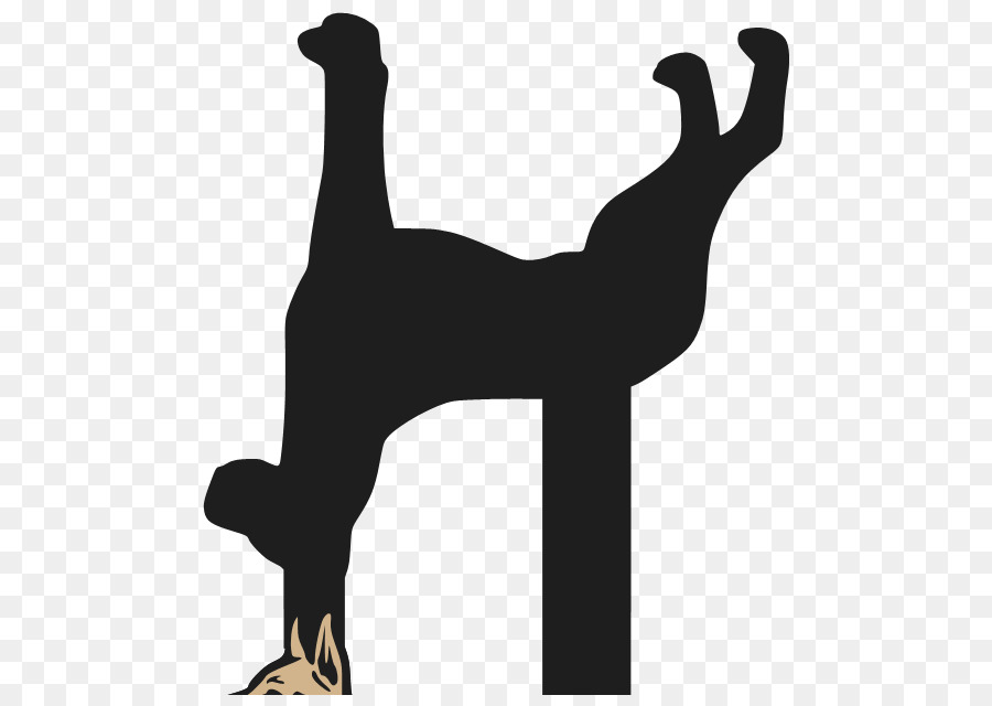 Dog Silhouette Physical fitness Black - GREAT DANE png download - 555*630 - Free Transparent Dog png Download.