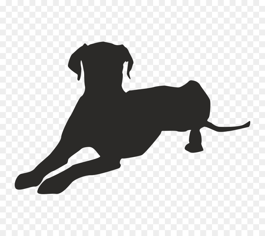 Great Dane Puppy Dog breed Clip art - puppy png download - 800*800 - Free Transparent Great Dane png Download.