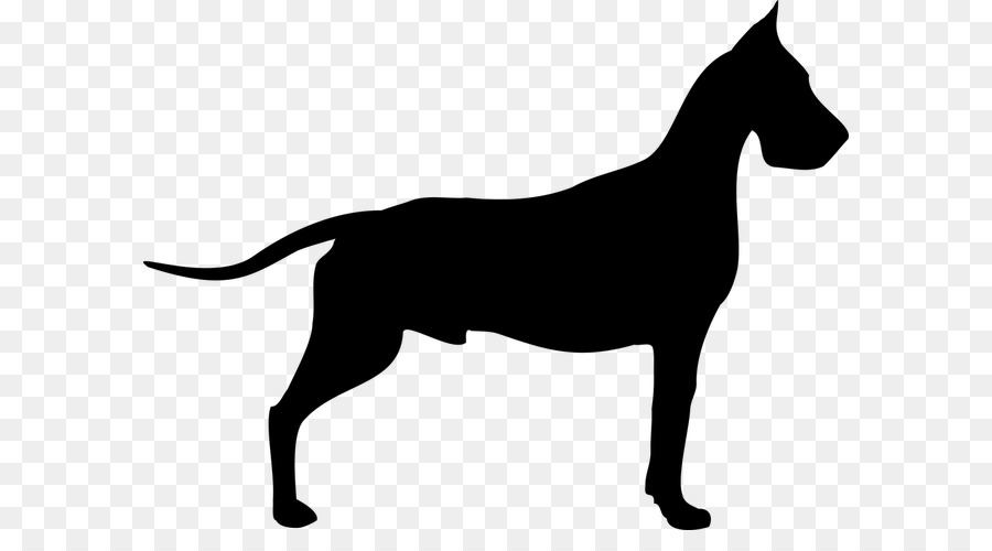 Great Dane Dogue de Bordeaux Old Danish Pointer Poodle Clip art - dog number png download - 640*481 - Free Transparent Great Dane png Download.