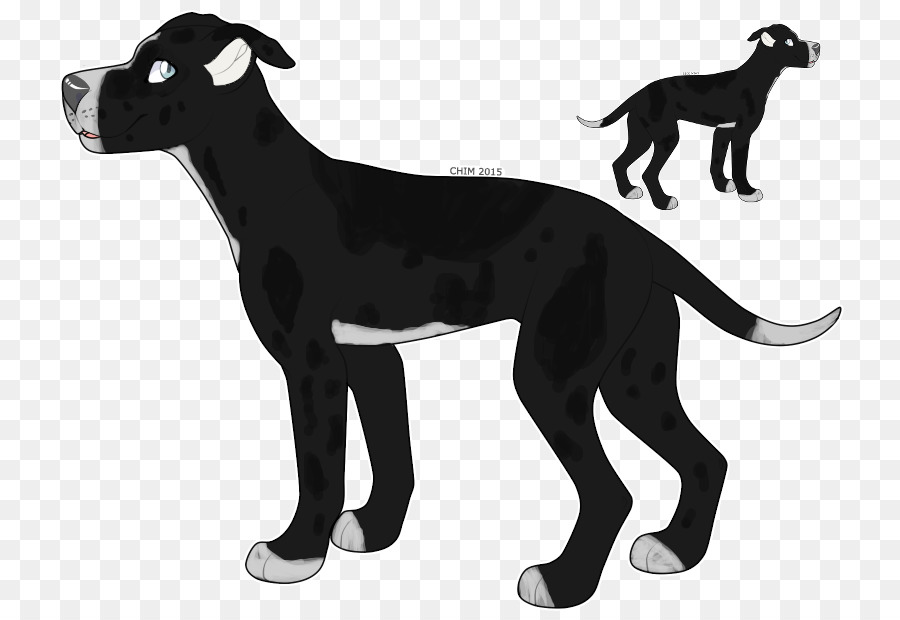 Great Dane American Quarter Horse American Paint Horse Foal Equestrian - Silhouette png download - 800*615 - Free Transparent Great Dane png Download.