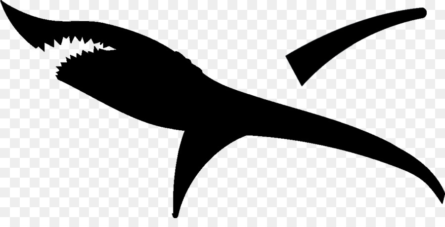 Cricut Great white shark Silhouette Clip art - shark png download - 1118*549 - Free Transparent Cricut png Download.