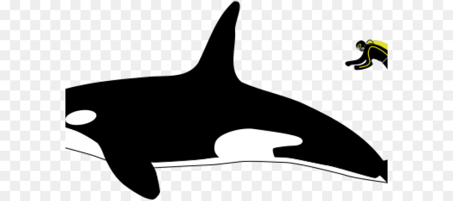 Killer whale Whales Clip art Great white shark Leopard seal - dolphin silhouette png killer whale png download - 641*398 - Free Transparent Killer Whale png Download.