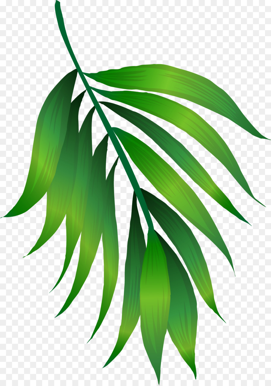 Green Leaf - Simple green leaves png download - 1501*2133 - Free Transparent Green png Download.