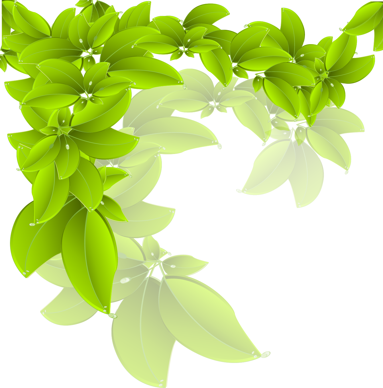 Branch Green Leaf - Vector leaves png download - 1344*1363 - Free ...