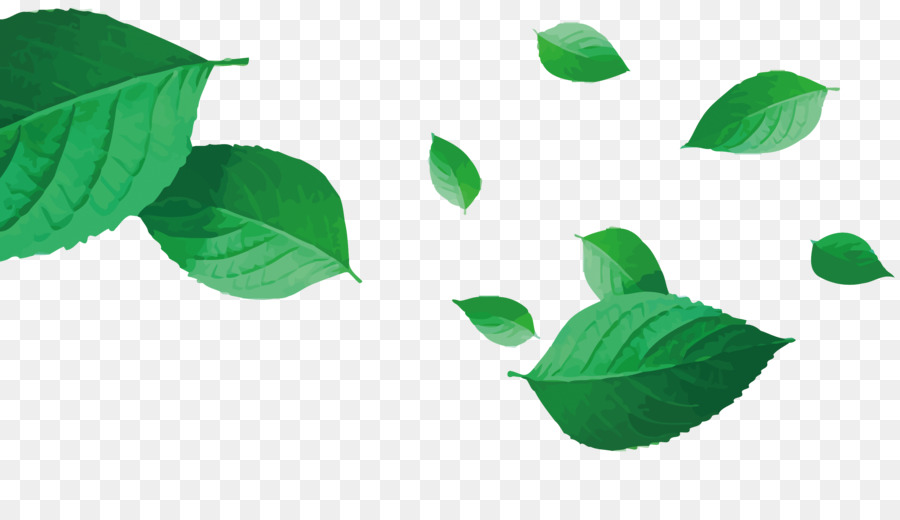 Green Leaf - Vector tea png download - 2653*1500 - Free Transparent Green png Download.