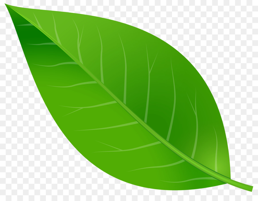 Leaf Color Clip art - green leaves png download - 8000*6048 - Free Transparent Leaf png Download.