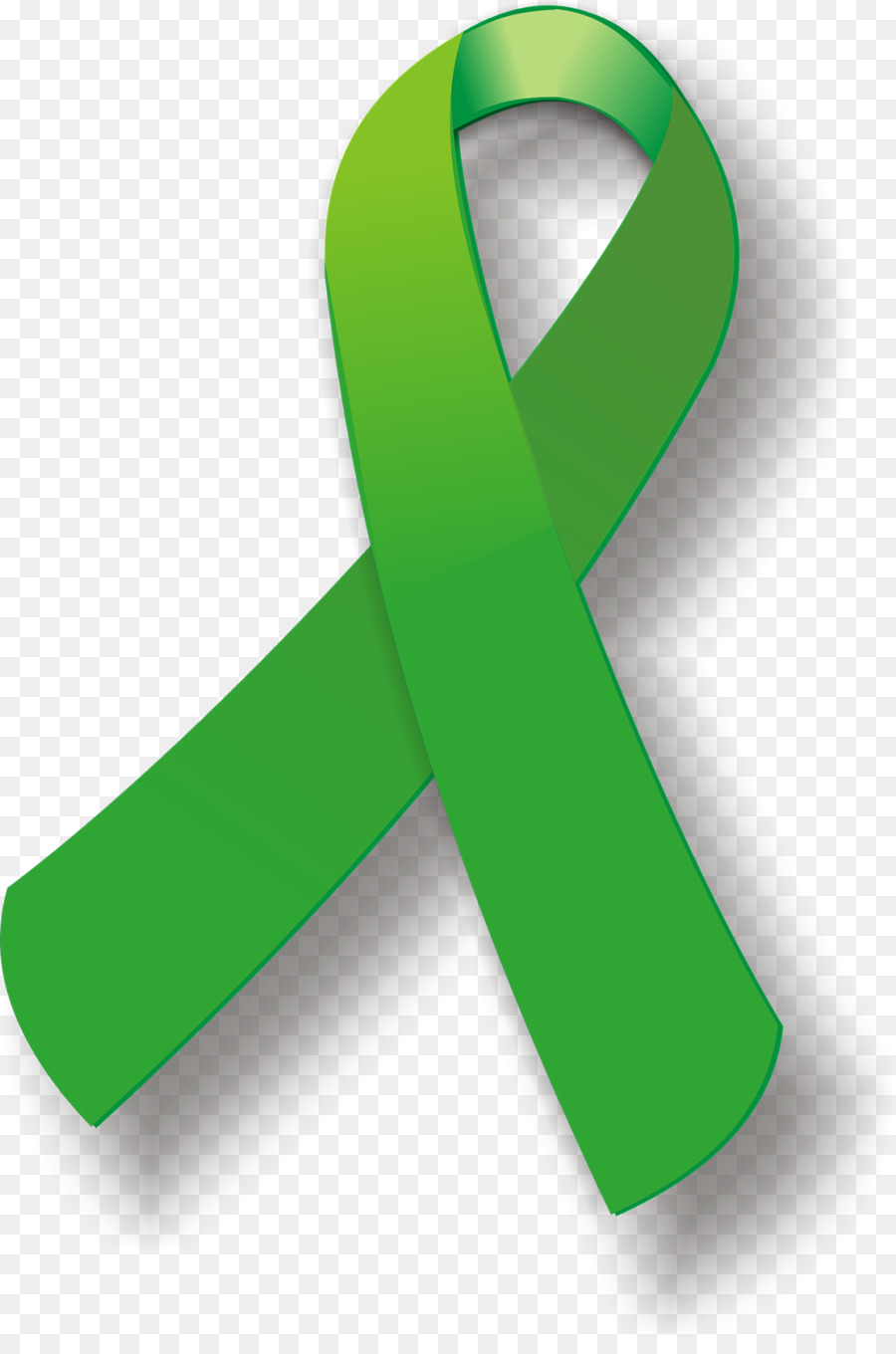 Green ribbon Awareness ribbon Cerebral palsy Pink ribbon - ribbon png download - 1070*1600 - Free Transparent Green Ribbon png Download.