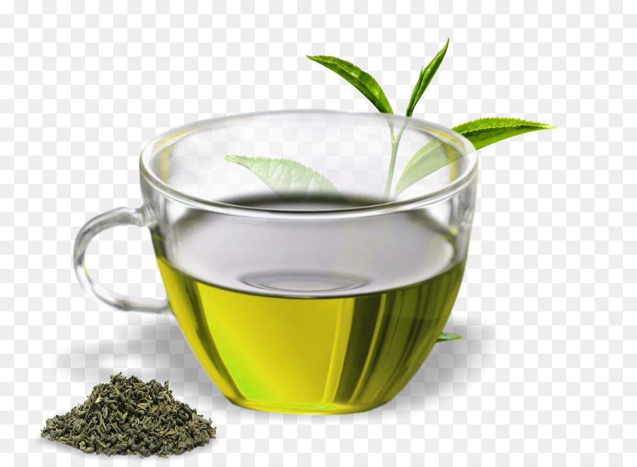 Green tea Assam tea Oolong Herbal tea - green tea png download - 805*655 - Free Transparent Green Tea png Download.