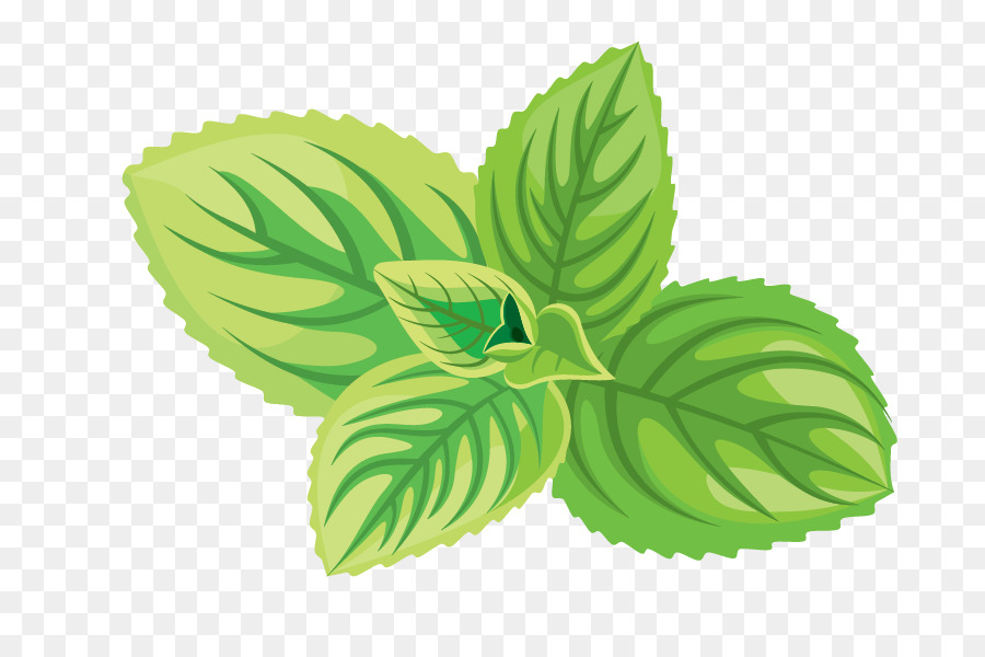 Green tea Cosmetics Herb Icon - Natural herbs png download - 740*600 - Free Transparent Green Tea png Download.