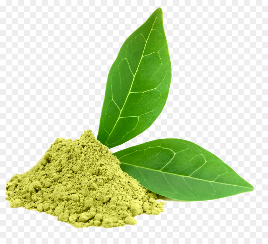 Green tea Dietary supplement Oolong Camellia sinensis - Green Tea PNG Photos png download - 2062*1845 - Free Transparent Tea png Download.