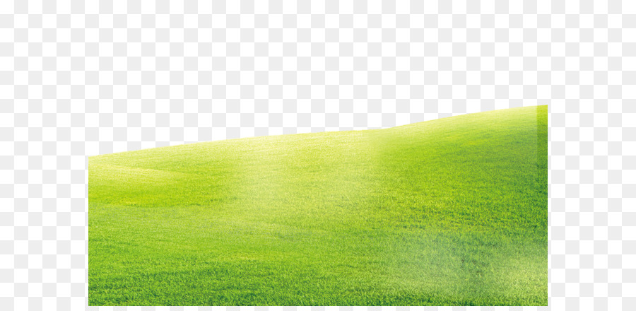 Green grass background png download - 1500*1000 - Free Transparent Grassland png Download.