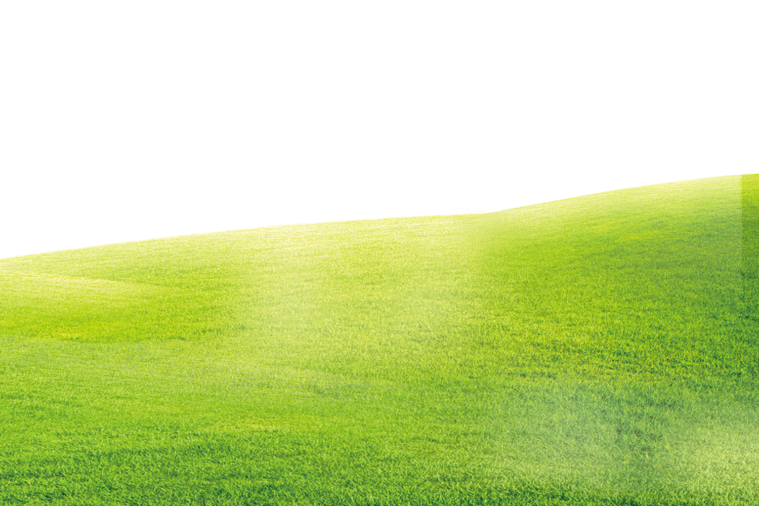 Green grass background png download - 1500*1000 - Free Transparent  Grassland png Download. - Clip Art Library