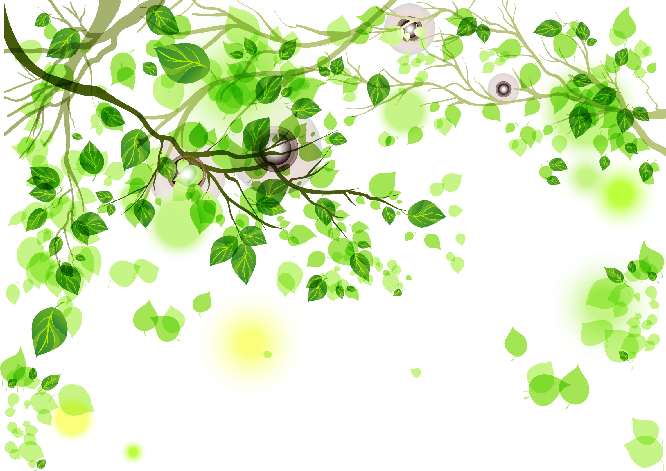 Green - Green background png download - 2293*1621 - Free Transparent ...