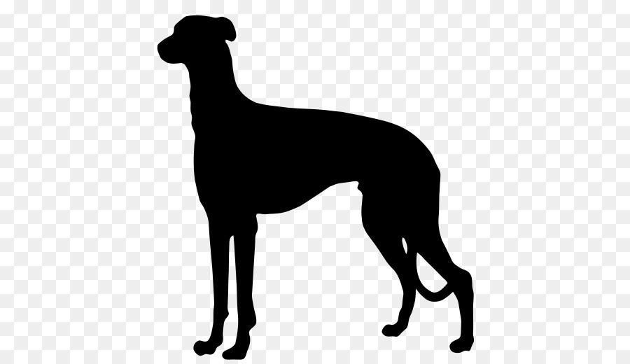 Australian Cattle Dog German Shorthaired Pointer German Wirehaired Pointer Ormskirk terrier - Silhouette png download - 485*516 - Free Transparent Australian Cattle Dog png Download.