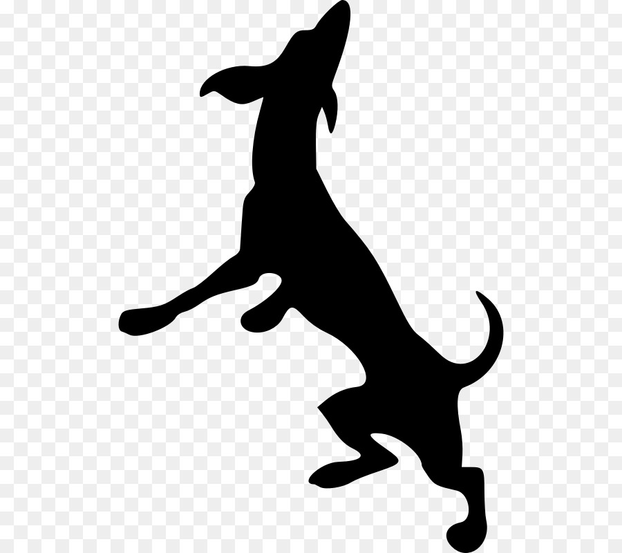 Dobermann Greyhound Scotch Collie Clip art - dog silhouette png download - 558*800 - Free Transparent Dobermann png Download.