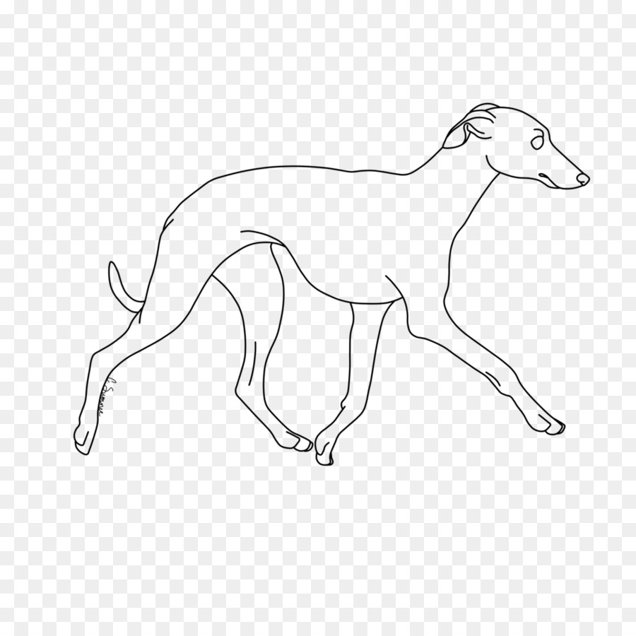 Whippet Italian Greyhound Line art Dog breed Drawing - greyhound png download - 1024*1024 - Free Transparent Whippet png Download.