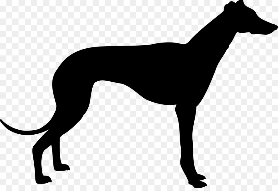 Greyhound Silhouette Clip art - animal silhouettes png download - 2400*1629 - Free Transparent Greyhound png Download.