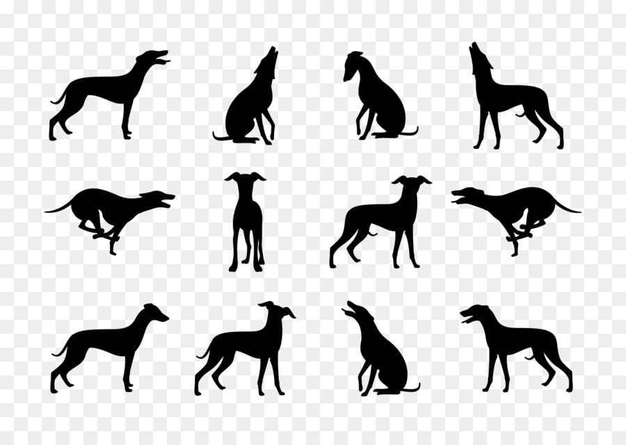 Whippet Greyhound Silhouette Dog breed - Silhouette png download - 1400*980 - Free Transparent Whippet png Download.