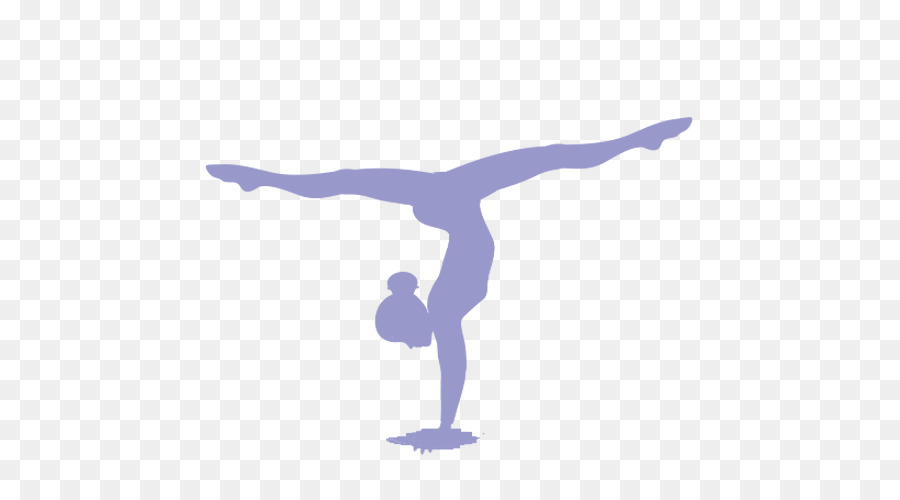Artistic gymnastics Split Sport Rhythmic gymnastics - team png download - 500*500 - Free Transparent Gymnastics png Download.