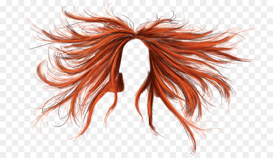 Hair Cartoon png download - 1200*939 - Free Transparent Hairstyle png  Download. - CleanPNG / KissPNG