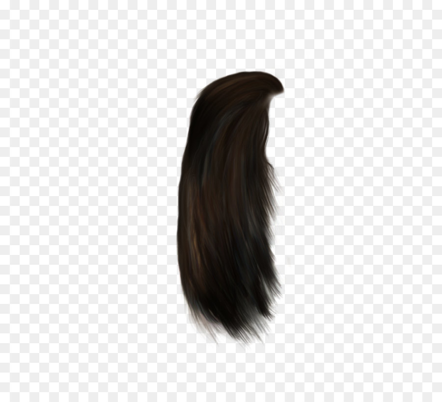 Black hair Hair coloring Brown hair Long hair - Hair Png 12 png download - 1024*1280 - Free Transparent Hair png Download.