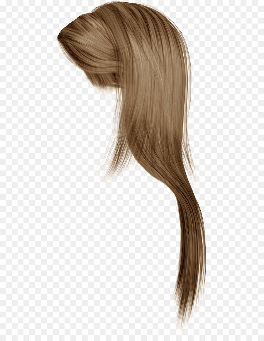 Women long hair style icon logo on white Vector Image