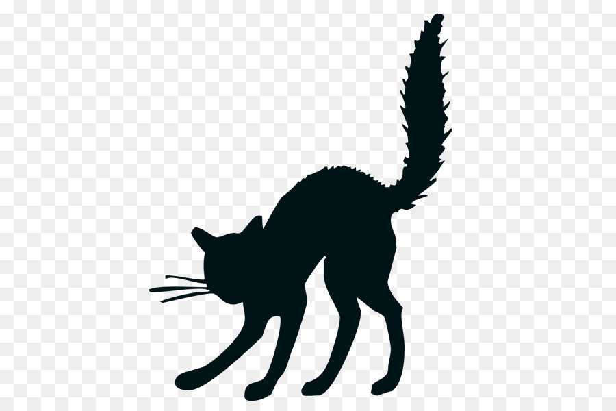 Halloween Black cat Drawing Das wilde Buch - Halloween png download - 600*600 - Free Transparent Halloween  png Download.