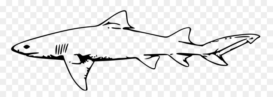Great white shark Vector graphics Hammerhead shark Clip art - shark drawing png lemon png download - 1024*364 - Free Transparent Shark png Download.