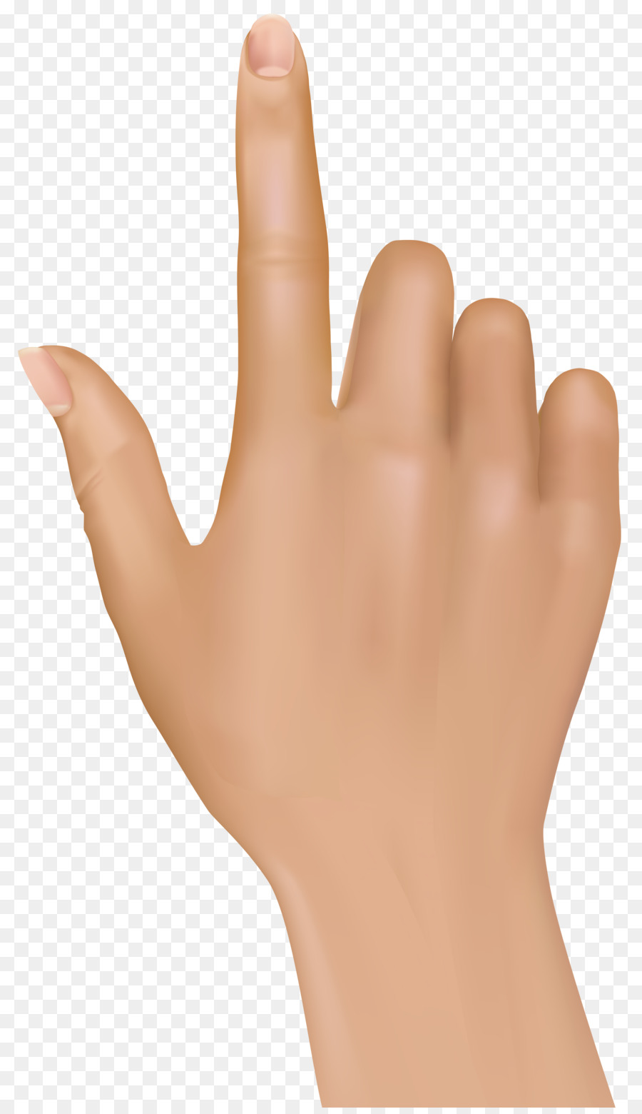 Index finger Hand Clip art - fingers png download - 4643*8000 - Free Transparent Finger png Download.
