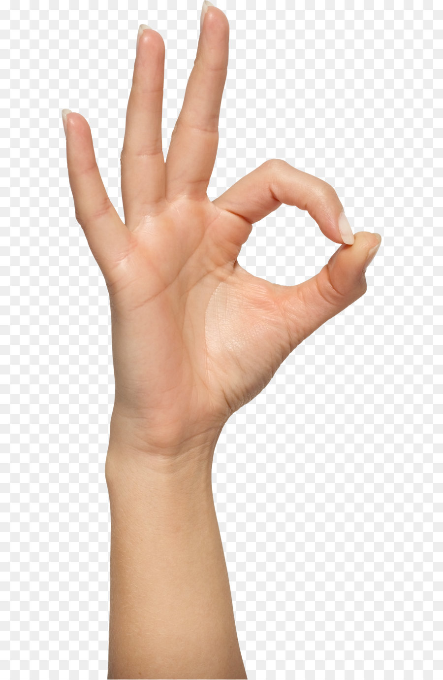 OK Gesture Hand - Hands PNG, hand image free png download - 2087*4427 - Free Transparent Hand png Download.