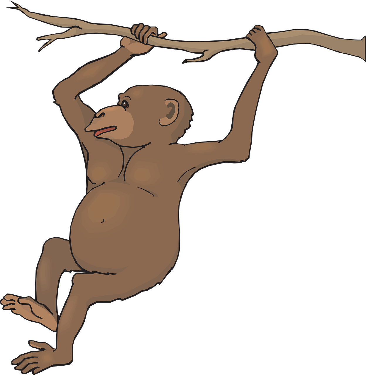 spider-monkey-black-howler-clip-art-monkey-hanging-on-a-branch-png