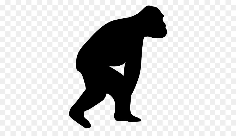 Ape Neandertal Evolution Homo sapiens - orangutan png download - 512*512 - Free Transparent Ape png Download.