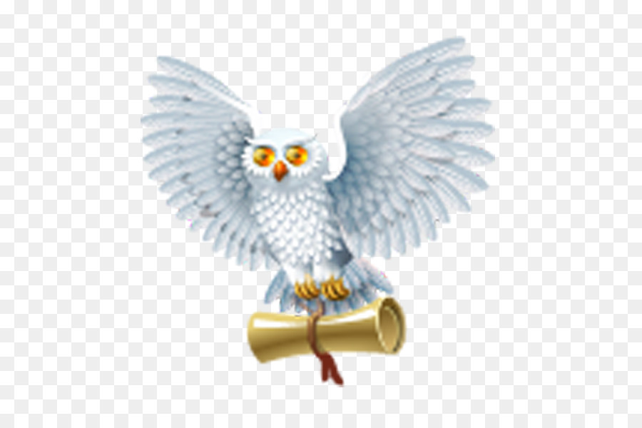 Harry Potter and the Half-Blood Prince Harry Potter and the Philosophers Stone ICO Icon - owl png download - 600*590 - Free Transparent Harry Potter And The Halfblood Prince png Download.
