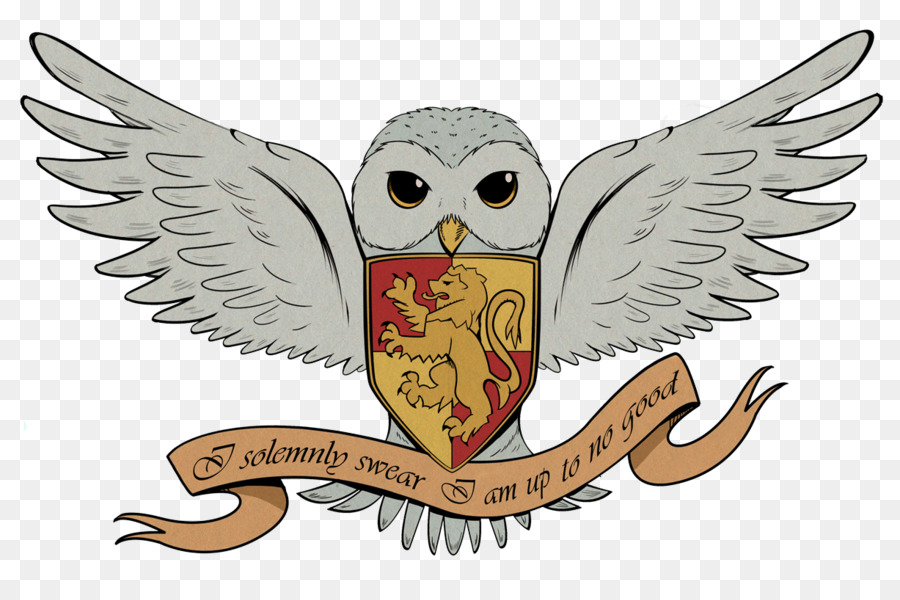 Harry Potter and the Deathly Hallows Hedwig Drawing - flying owl png download - 900*587 - Free Transparent Harry Potter png Download.