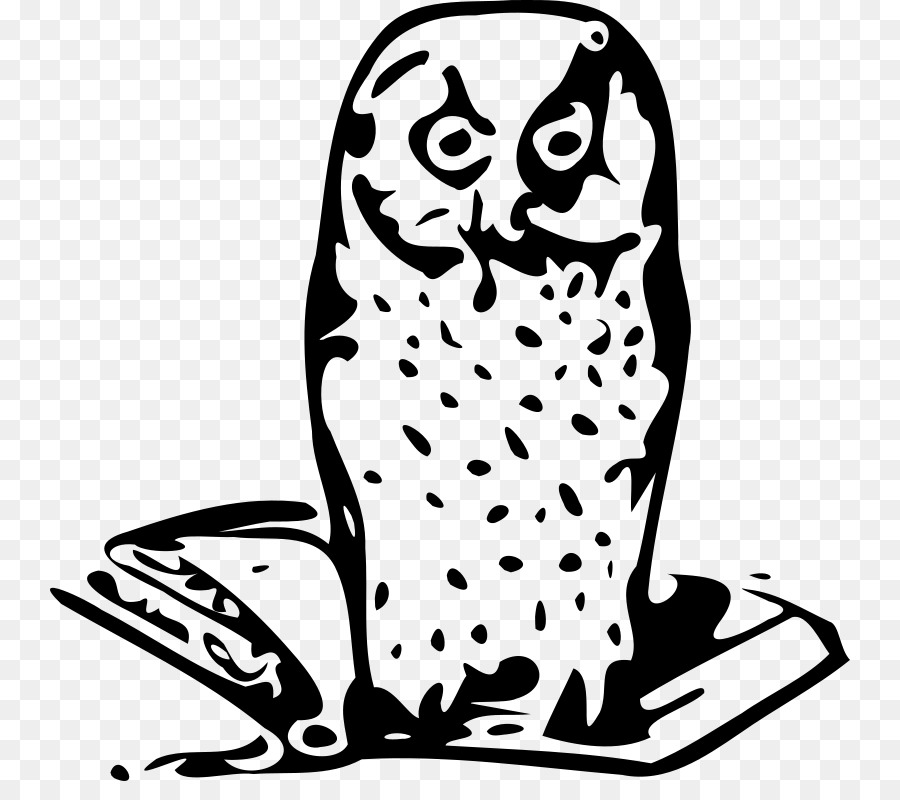Clip art - harry potter Owl png download - 800*781 - Free Transparent Computer Icons png Download.