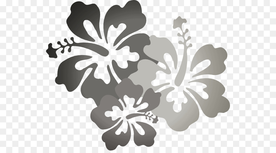 Clip art Rosemallows Hawaiian hibiscus Flower Image - cheap real flowers png download - 600*492 - Free Transparent Rosemallows png Download.