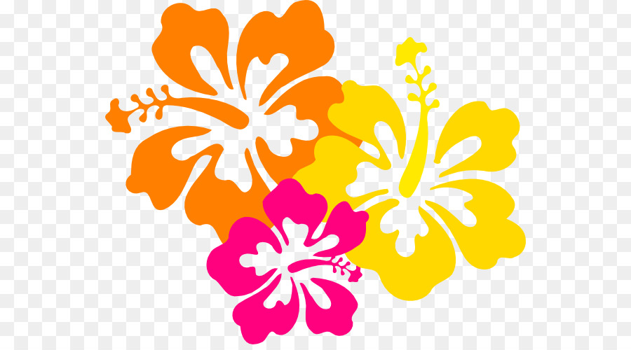 Hawaiian Flower Clip art - Hibiscus Flower Drawings png download - 600*492 - Free Transparent Hawaii png Download.