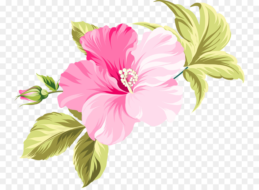 Flower Hawaii Clip art - flower png download - 800*653 - Free Transparent Flower png Download.