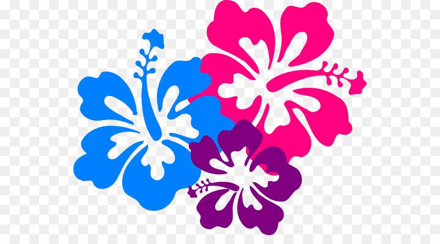Hawaiian Flower Clip art - Beautiful Hawaiian Cliparts png download - 600*482 - Free Transparent Hawaii png Download.